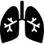 lungs-with-bronchi