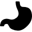 stomach